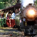 Trains you can ride: Train Town Train