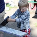 Berkeley's Adventure Playground