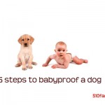 5 steps to babyproof your dog #babies