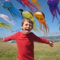 Berkeley Kite Festival in the Berkeley Marina