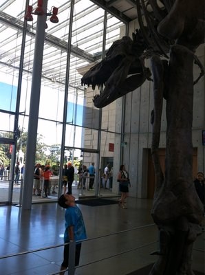 Discover + Go gets you in free to the Cal Academy of Sciences