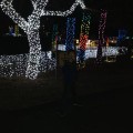 Oakland Zoo Lights