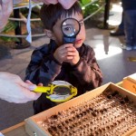 See more BUGS at Lawrence Hall of Science