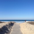 Moss Landing - Bay Area Road Trip