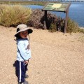 Hikes for Tykes