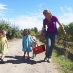 Apple picking with children in the Bay Area