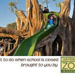 50 things to do in the Bay Area with kids when school is closed