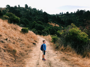 boy hiking miller knox