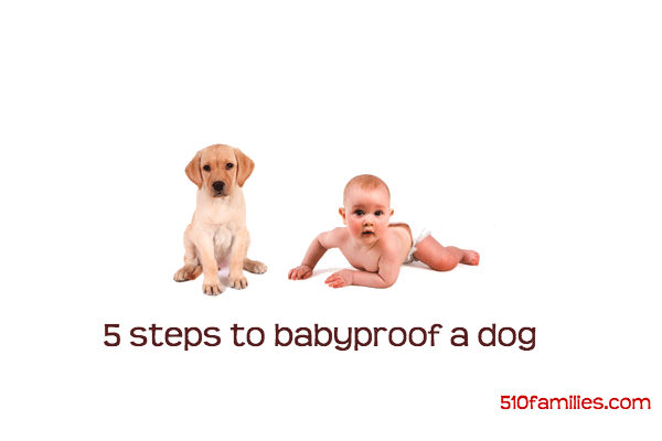 5 steps to babyproof your dog #babies