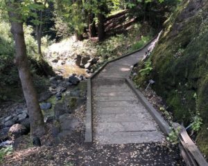 14 Super Berkeley Parks and Playgrounds 7 Regional Parks Botanic Garden at Tilden