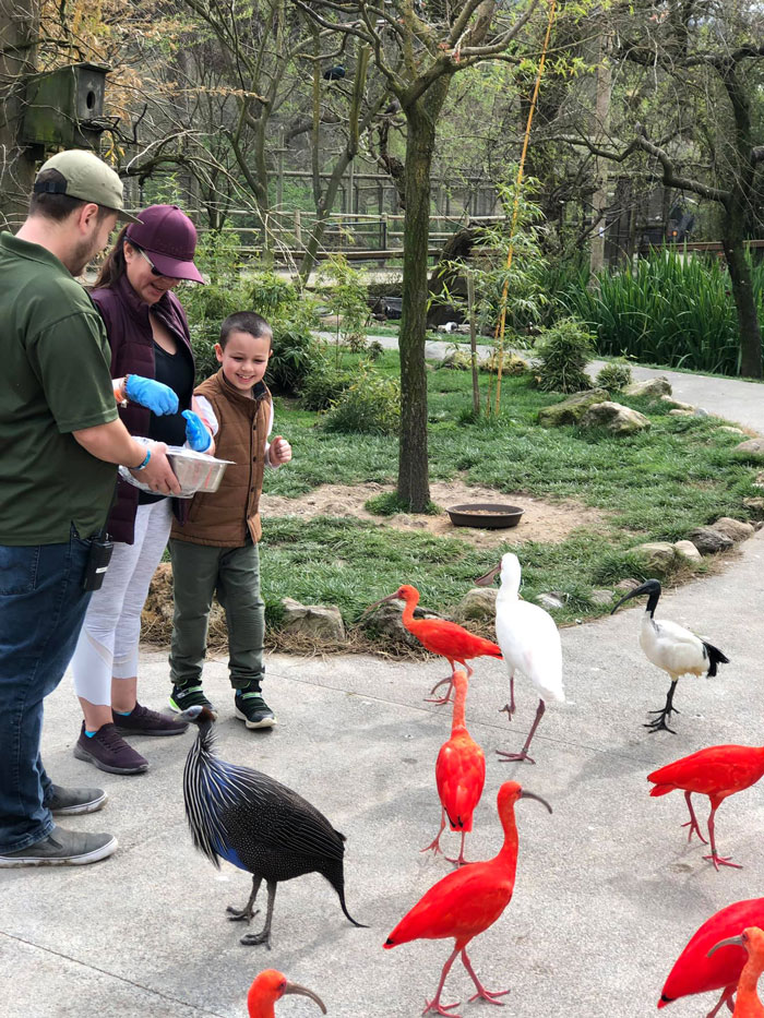Special time with your kid: 10 sibling-free outings 3 Getting one-on-one attention at Safari West