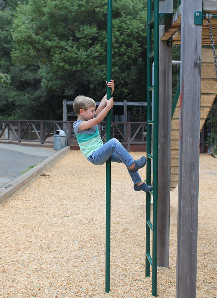 Codornices Park in the Berkeley Hills 2 Climbing Pole Codornices Park