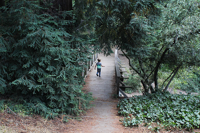 Codornices Park in the Berkeley Hills 3 Exploring Codornices Park