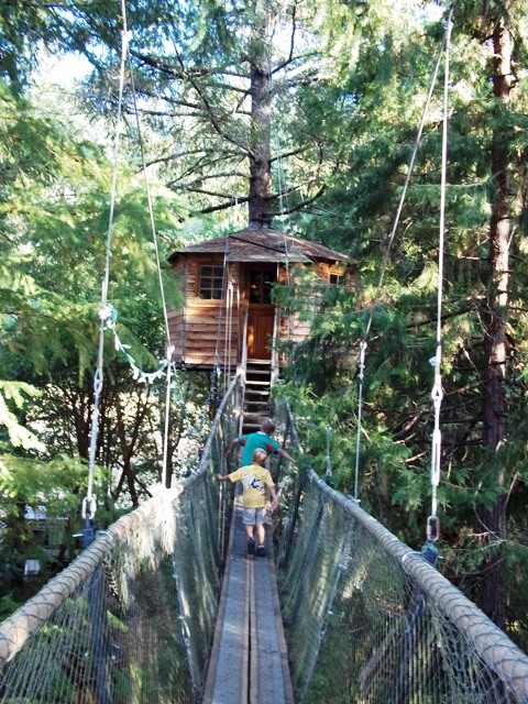 Plan ahead family adventure: Out n About Treesort