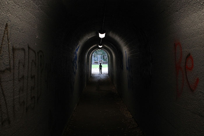 Tunnel to Berkeley Rose Garden