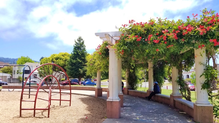 Albany Memorial Park