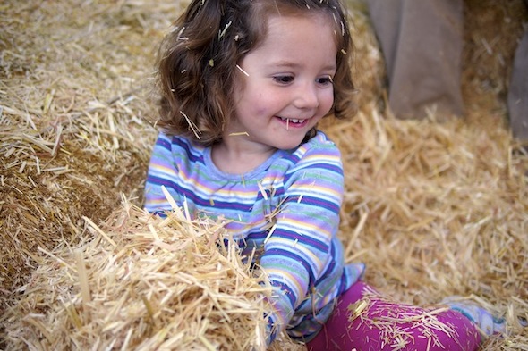 Lemos Farm Hay Ride
