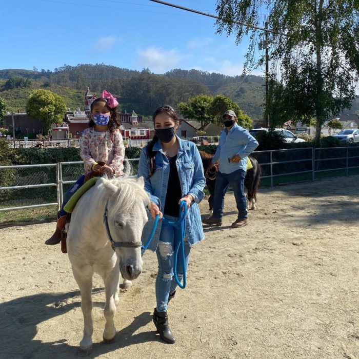 pony rides at Lemos Farm