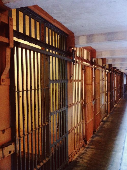Alcatraz Island with kids