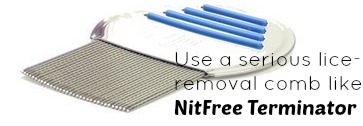 NitFree Terminator is the best lice comb