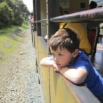 Niles Canyon Railway child looks out window
