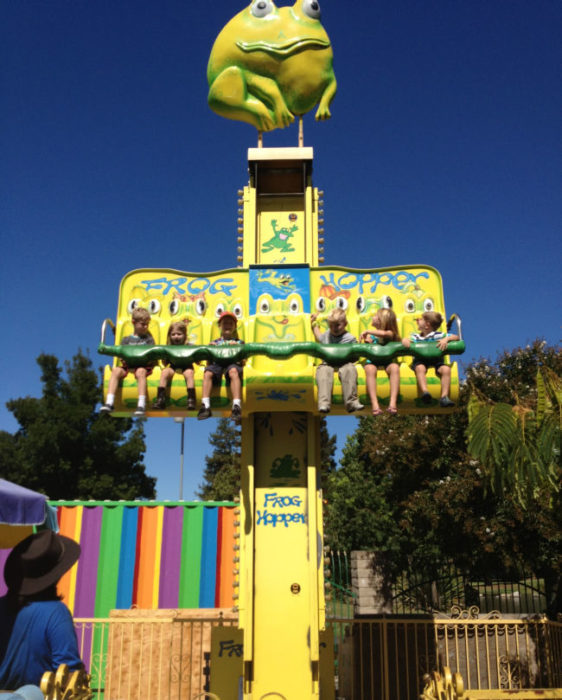Pixieland frog hopper