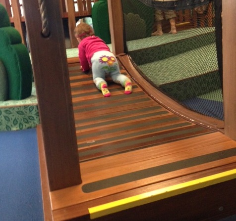 The Early Explorers Cove at Cal Academy