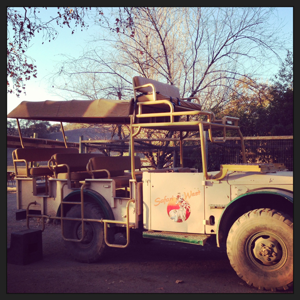 safari-west-jeep-ride