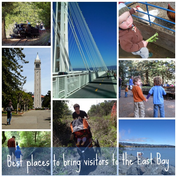Best places to bring your East Bay Visitors