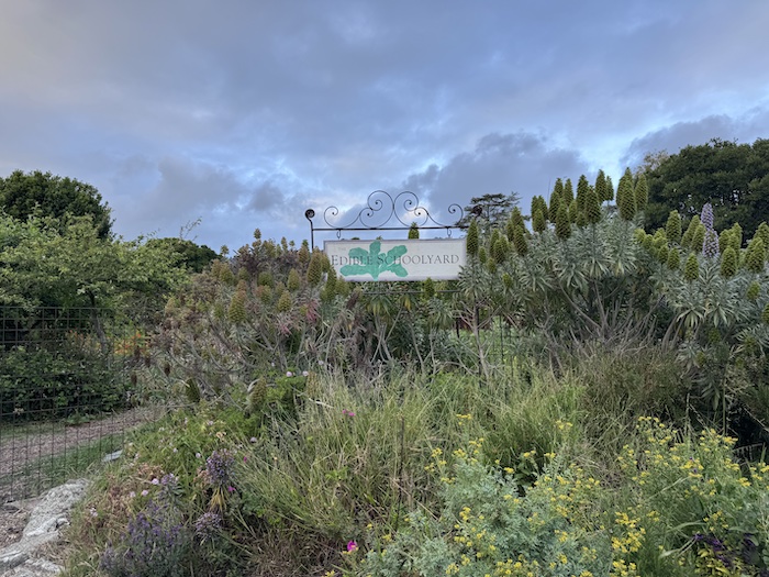 Edible Schoolyard in Berkeley