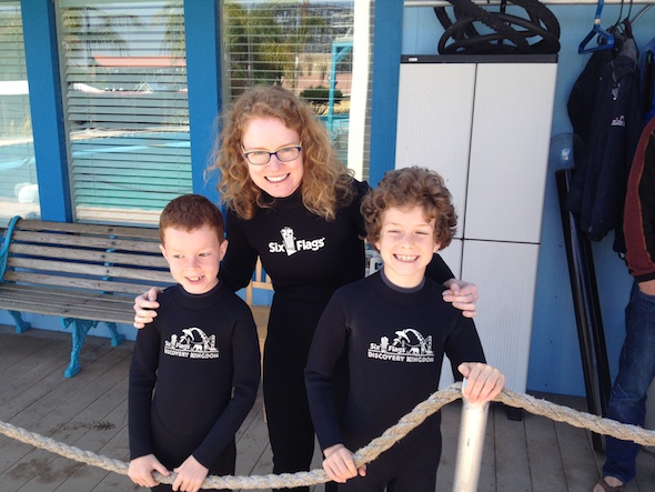Dolphin Discovery in Vallejo is amazing but not cheap