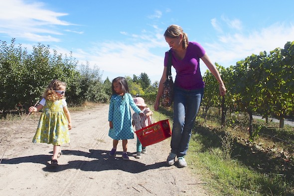 Apple picking with children in the Bay Area