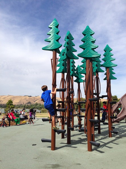 Spend a half day in Fremont's Central Park - 510 Families