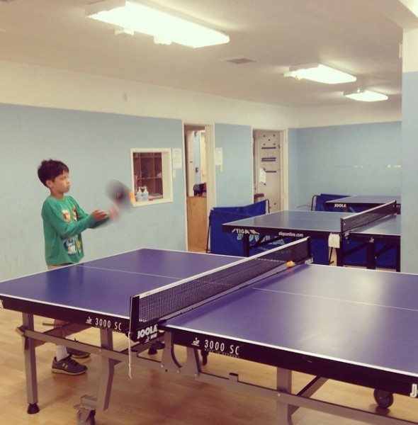 Ping-pong tables in Albany — 510 Families