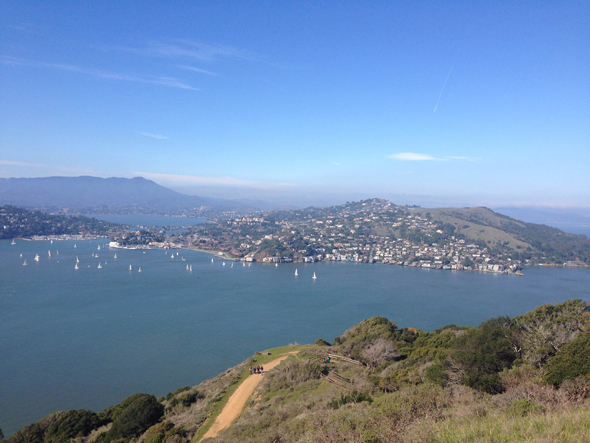 Enjoying the view of Angel Island with kids