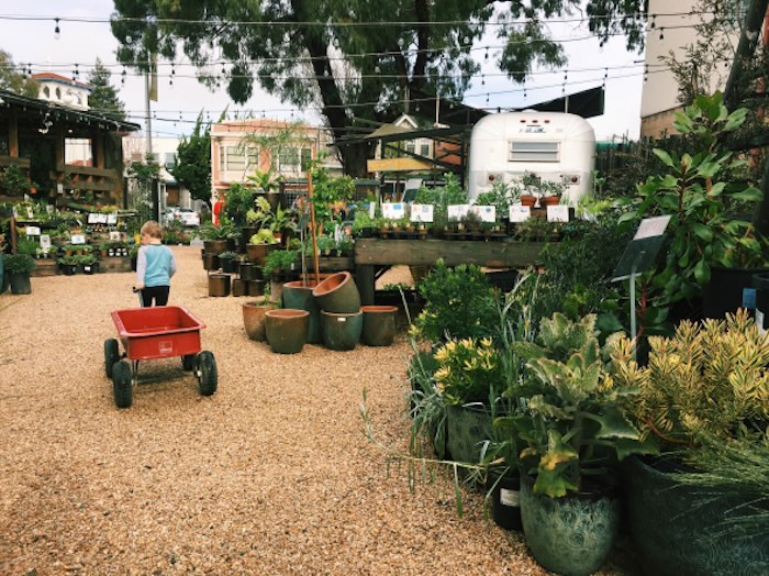child pulling wagon at the highwire coffee trailer at flowerland nursery