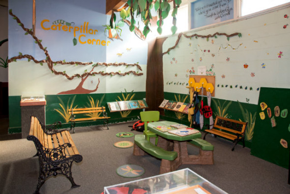 San Francisco Zoo: Insect Zoo