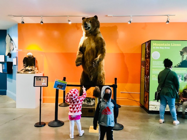 children looking at big brown bear statue