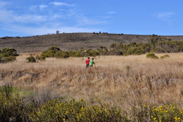 Point Pinole Regional Shoreline with kids