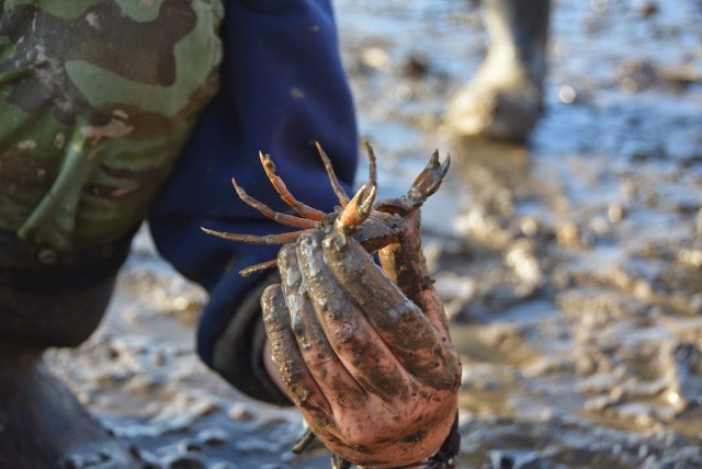 Point Pinole Regional Shoreline with kids