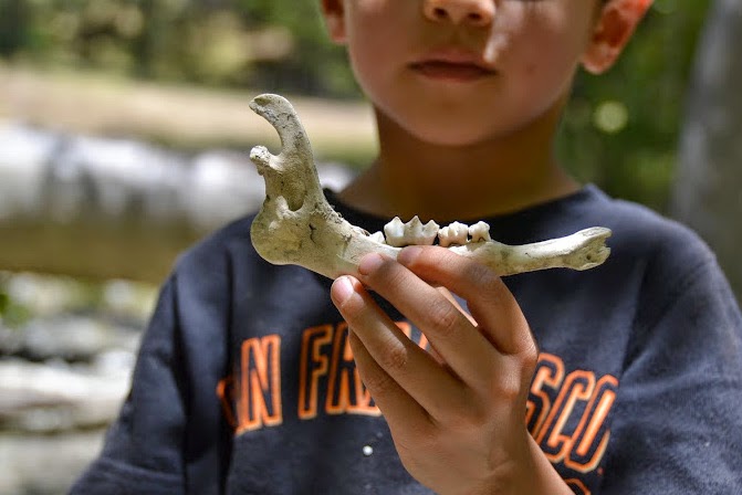 Sunol Regional Wilderness