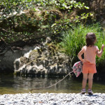 Sunol Regional Wilderness