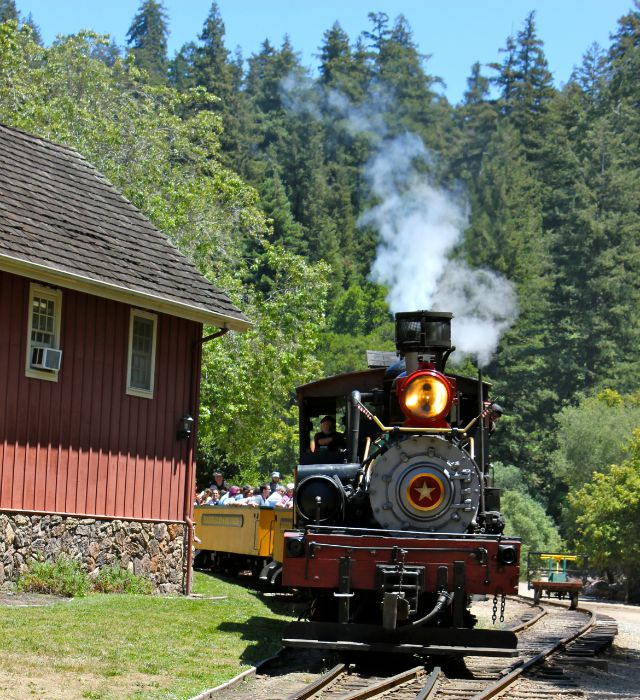 Roaring Camp Railroad in Santa Cruz is awesome for Bay Area train lovers