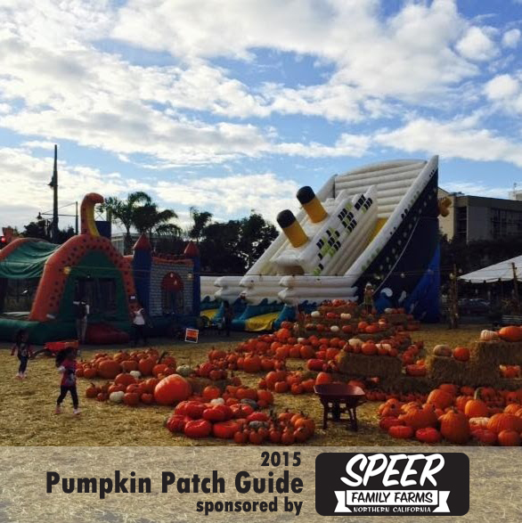 Pumpkin patch main st stockton ca zip