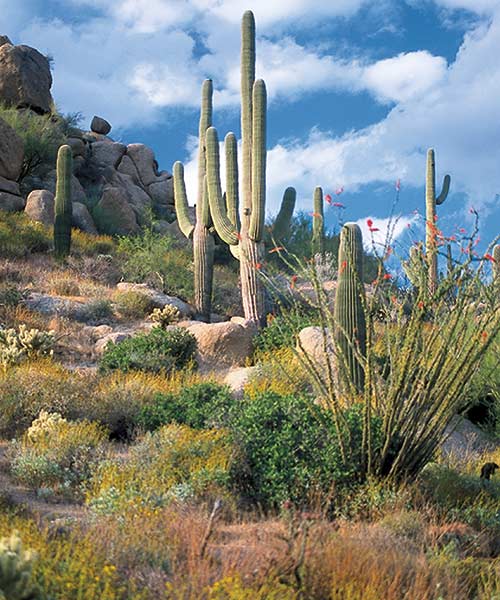 Family Vacation Inspiration: Scottsdale, AZ 2 Family trip to Scottsdale, Arizona