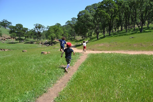 Round Valley running