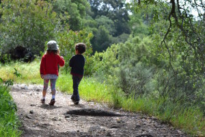Sunol activities for the winter