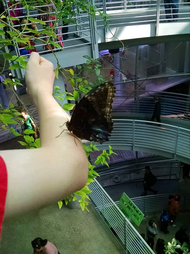 Special time with your kid: 10 sibling-free outings 8 Cal Academy rainforest room