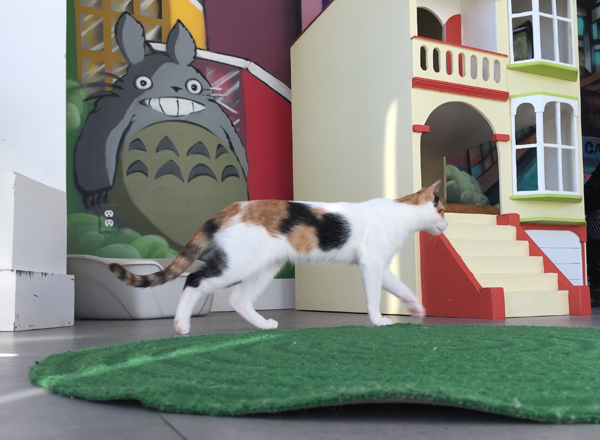 Cat Town Cafe in Oakland