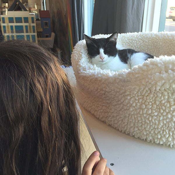 15 Places in the Bay Area Where Kids Can See Animals 5 cat and girl